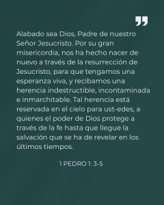 PEDRO